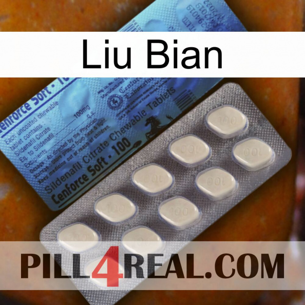 Liu Bian 34